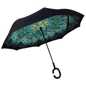 umbrella, parasol