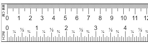 5 cm scale